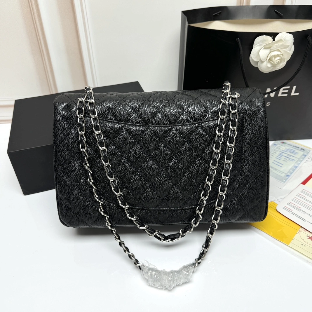 Elegant 289 Chanel AAA Quality Shoulder Bags For Women