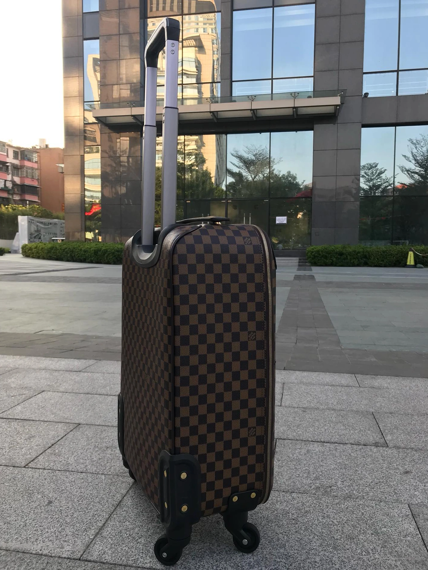 Louis Vuitton Luggage DailyWear 8676