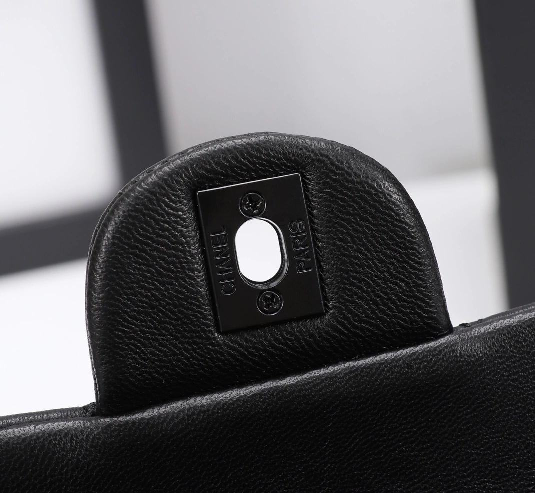 NewStyle 2759 Chanel AAA Quality Messenger Bags For Women - Image 6