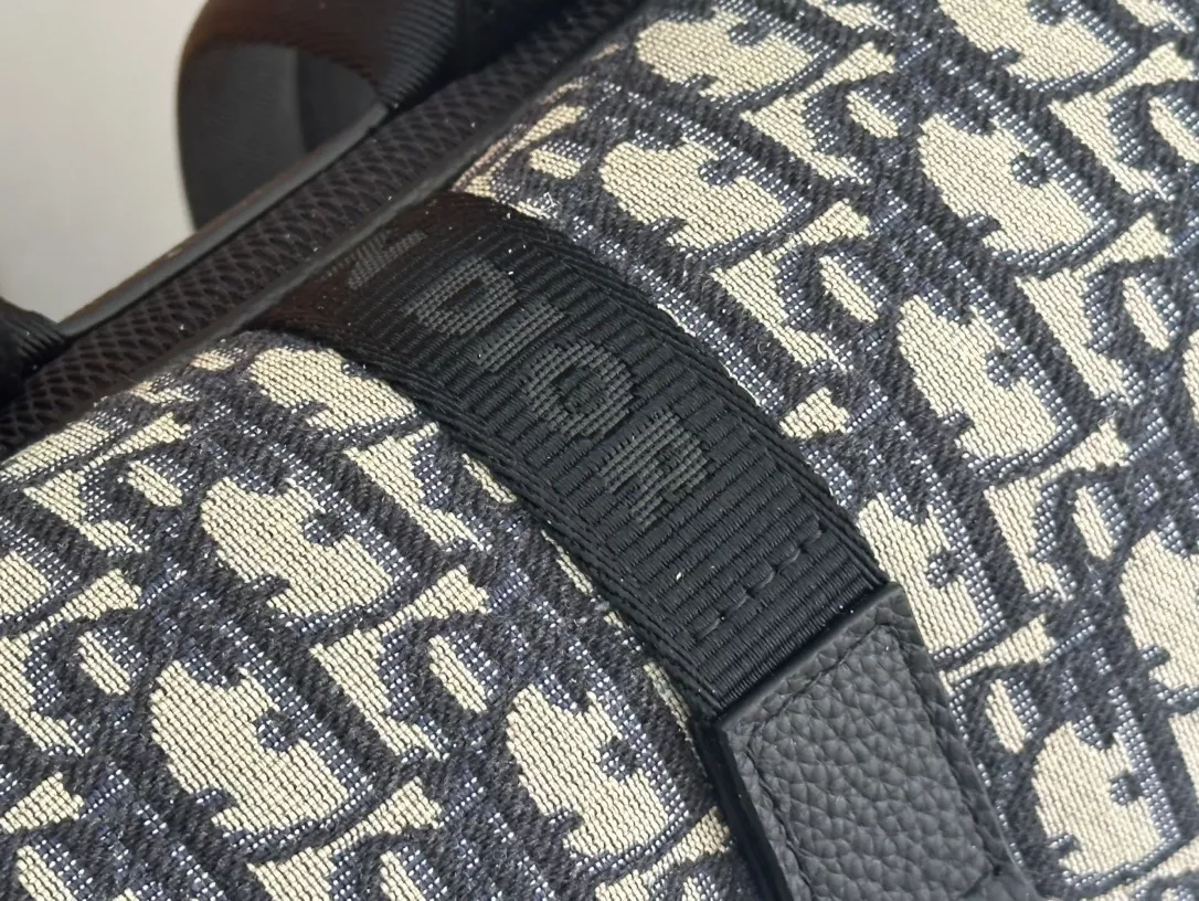 Resilient 4380 Christian Dior AAA Man Backpacks - Image 7