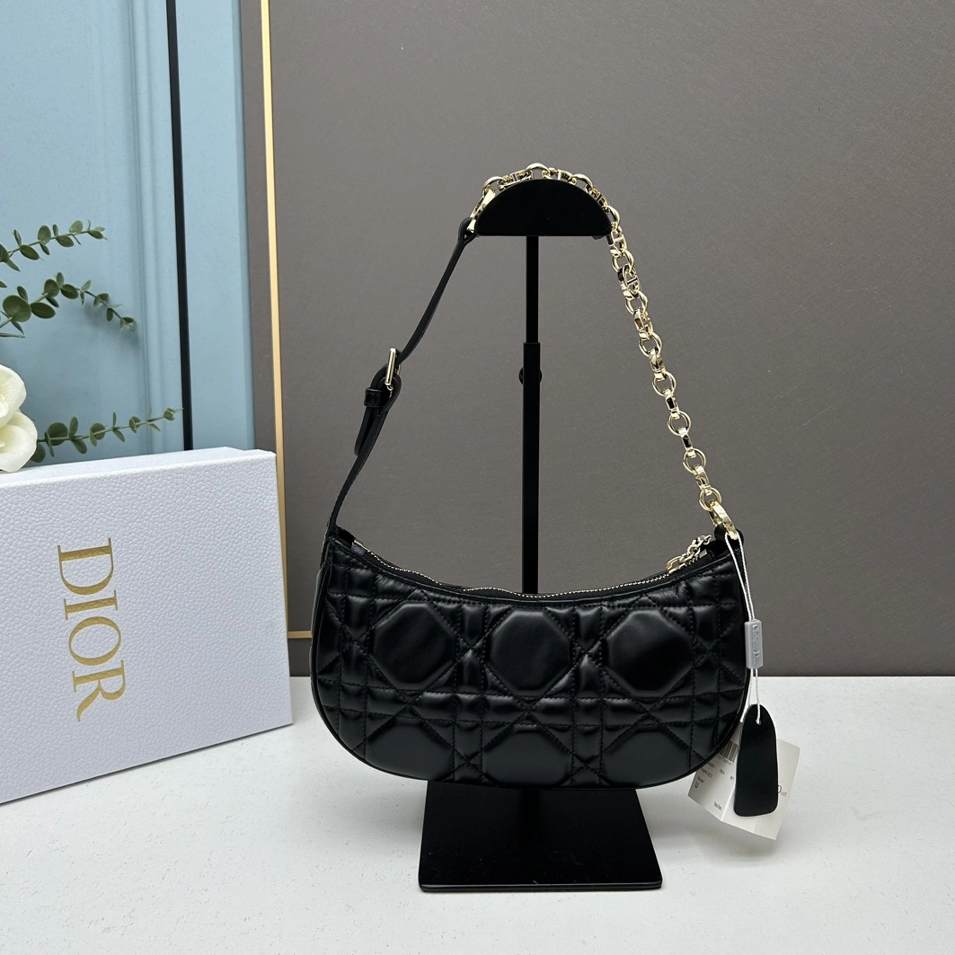 Soft 356 Christian Dior AAA Quality Shoulder Bags For Women - Image 3