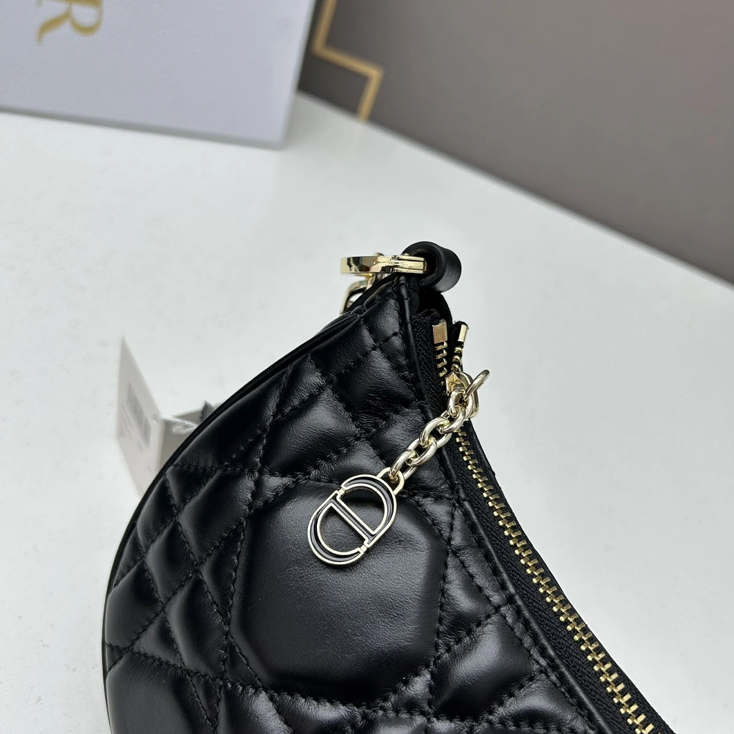 Soft 356 Christian Dior AAA Quality Shoulder Bags For Women - Image 5