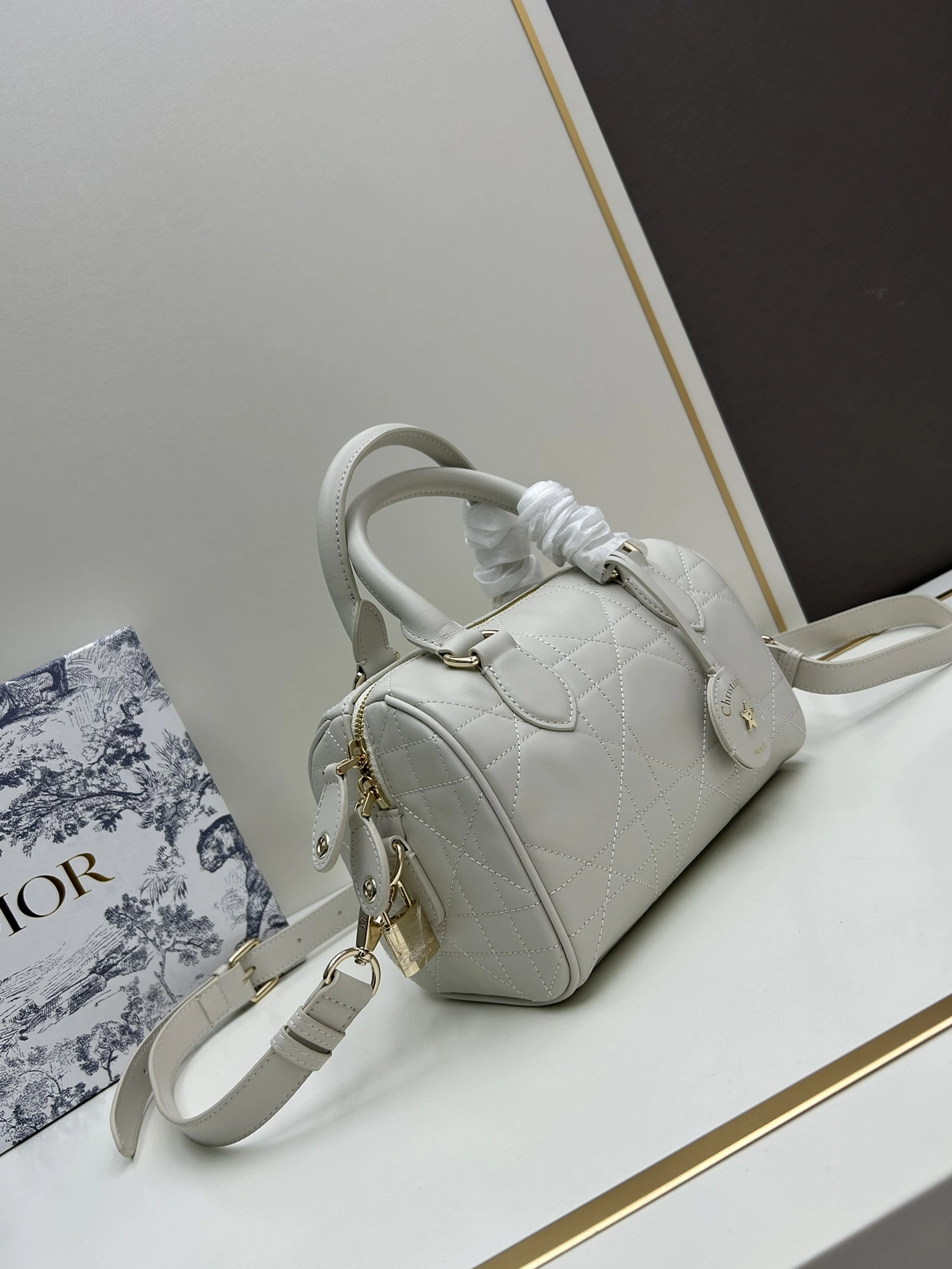 SportInspired 3386 Christian Dior AAA Quality Handbags For Women