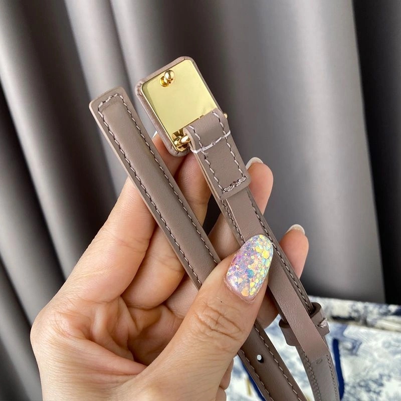 Dior Small Bobby Belt Smooth Calfskin Apricot - Image 3